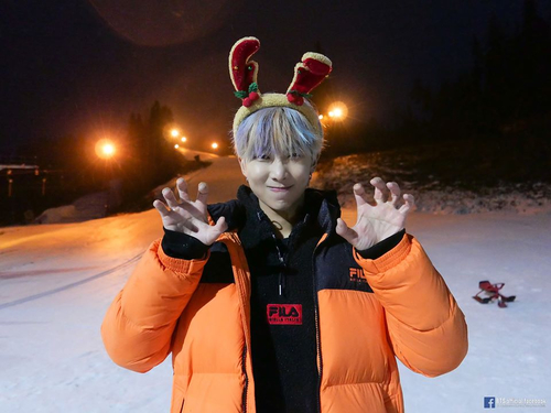 RM - заяц новогодний